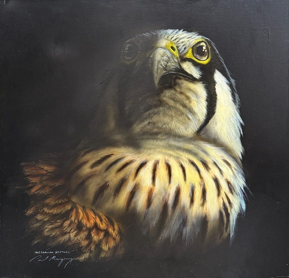 Paul Margocsy | Australian Kestrel | MutualArt