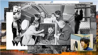 Before the Storm. Taiwan, on the border between past and future - Ludwig Museum of Contemporary Art