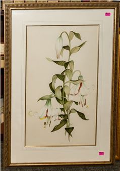 Lilies - Ferris Patrick Hotard