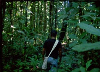 Laura Huertas Millán and Sarker Protick: After Nature