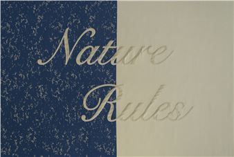 Jae-Eun Choi: Nature Rules - Kukje Gallery, Seoul
