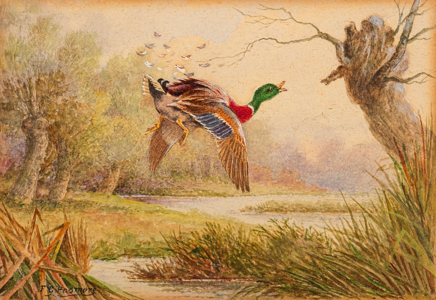 Artwork by Frederick George Pasmore, Frederick George Pasmore Jnr. (British, fl, Made of watercolours