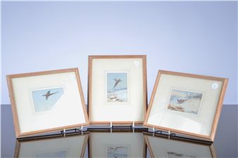 three small watercolours of pheasants - Philip Puckman