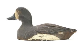 Bluebill hen - Bill Cooper