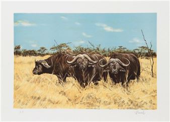 CAPE BUFFALO - Joseph Vance