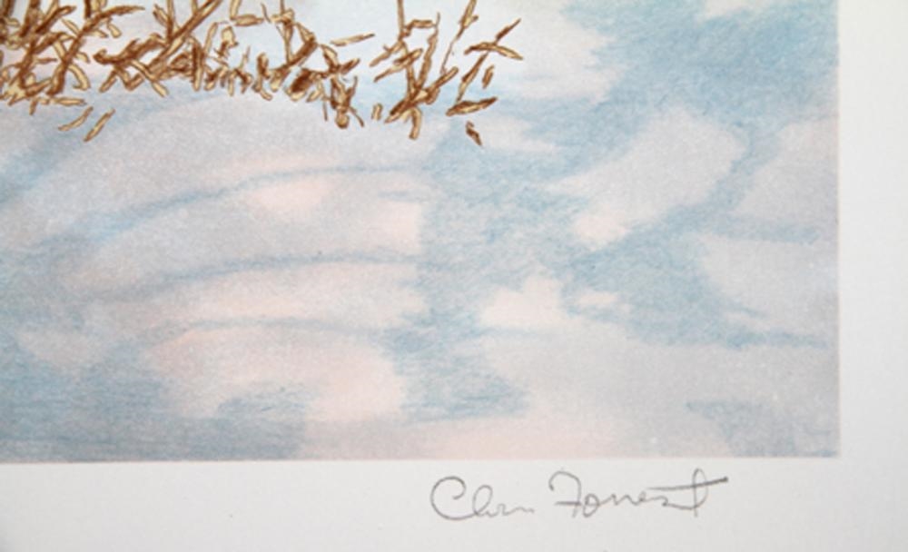 Artwork by Chris Forrest, CARDINAL, Made of LITHOGRAPH