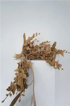 Joël Andrianomearisoa: Miracle - Almine Rech, New York (Upper East Side)