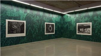 Gary Coyle: Terra Cognita - Kevin Kavanagh Gallery