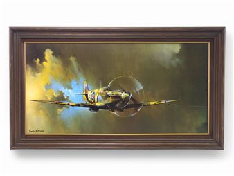 Spitfire MK V-B - The 243 Squadron - Barrie A.F. Clark