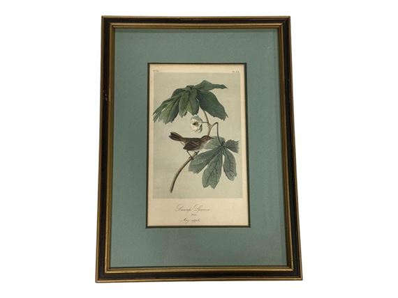 John James Audubon | Collection of Five Royal Octavo Prints by John ...