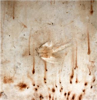 Vanessa Barbay: Death's Witness - Shoalhaven Regional Gallery