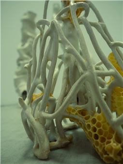 Pablo Boissel-Arrieta: Entropie V.2 - Galerie RDV