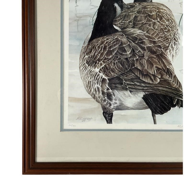 Ed Hatch | Ed Hatch Framed Print of Canada Geese (1991) | MutualArt