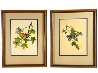 Allan Gavan Hooded & Myrtle Warbler Paintings - Allan Gavan