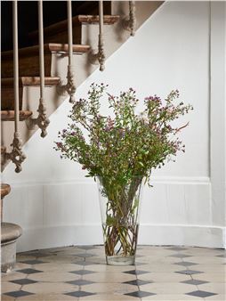 David Roth at Panis, Rouen