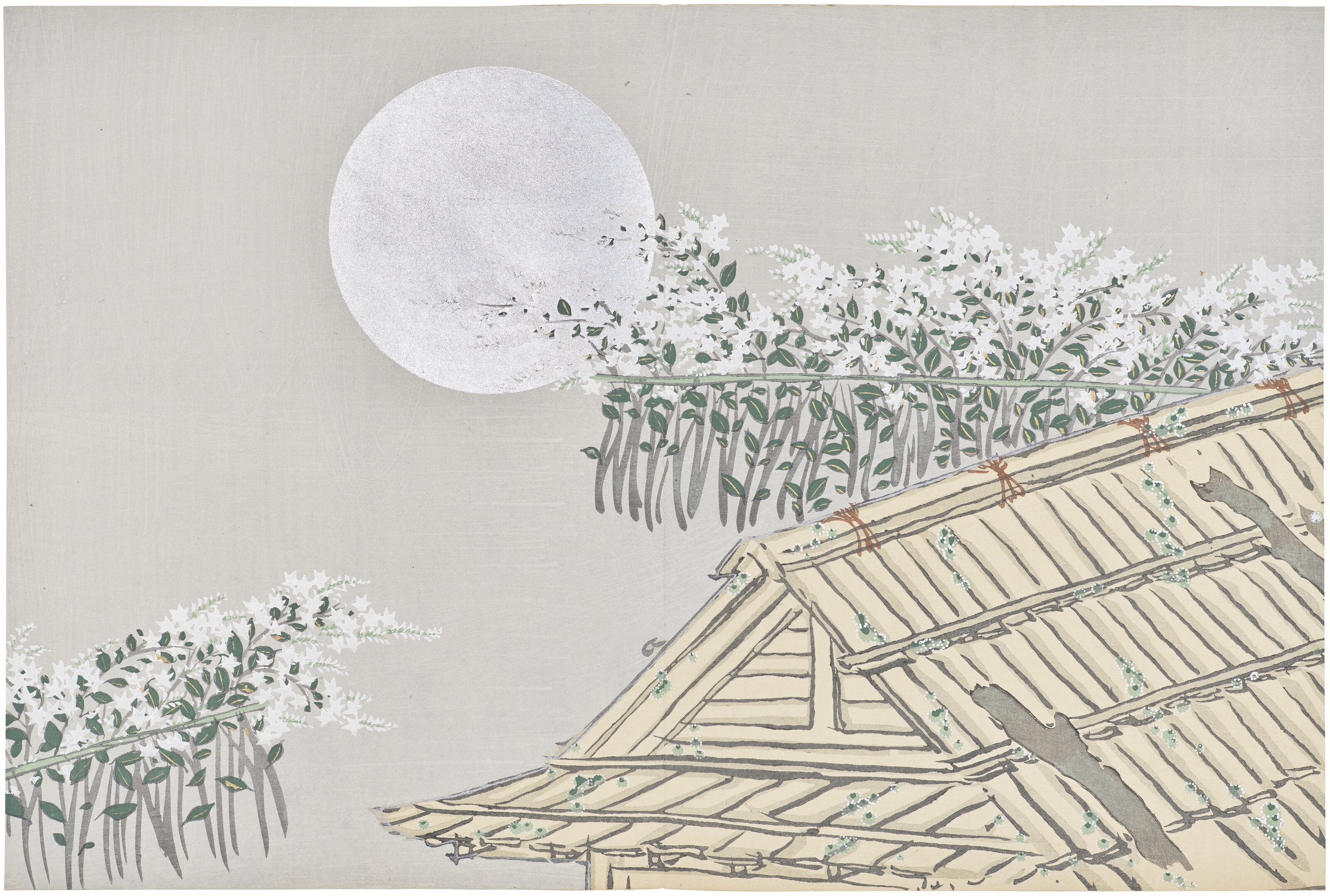 Artwork by Kamisaka Sekka, Momoyogusa (Flowers of a hundred worlds), Made of Woodblock-printed illustrated books