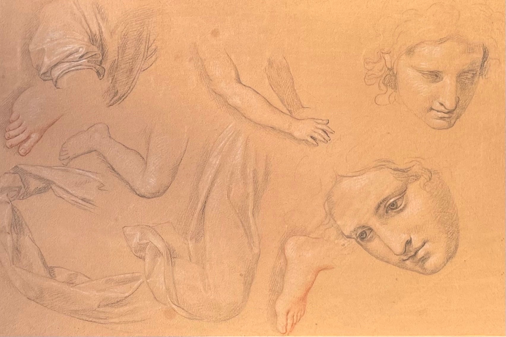 Giuseppe Bottani | Studio anatomico | MutualArt