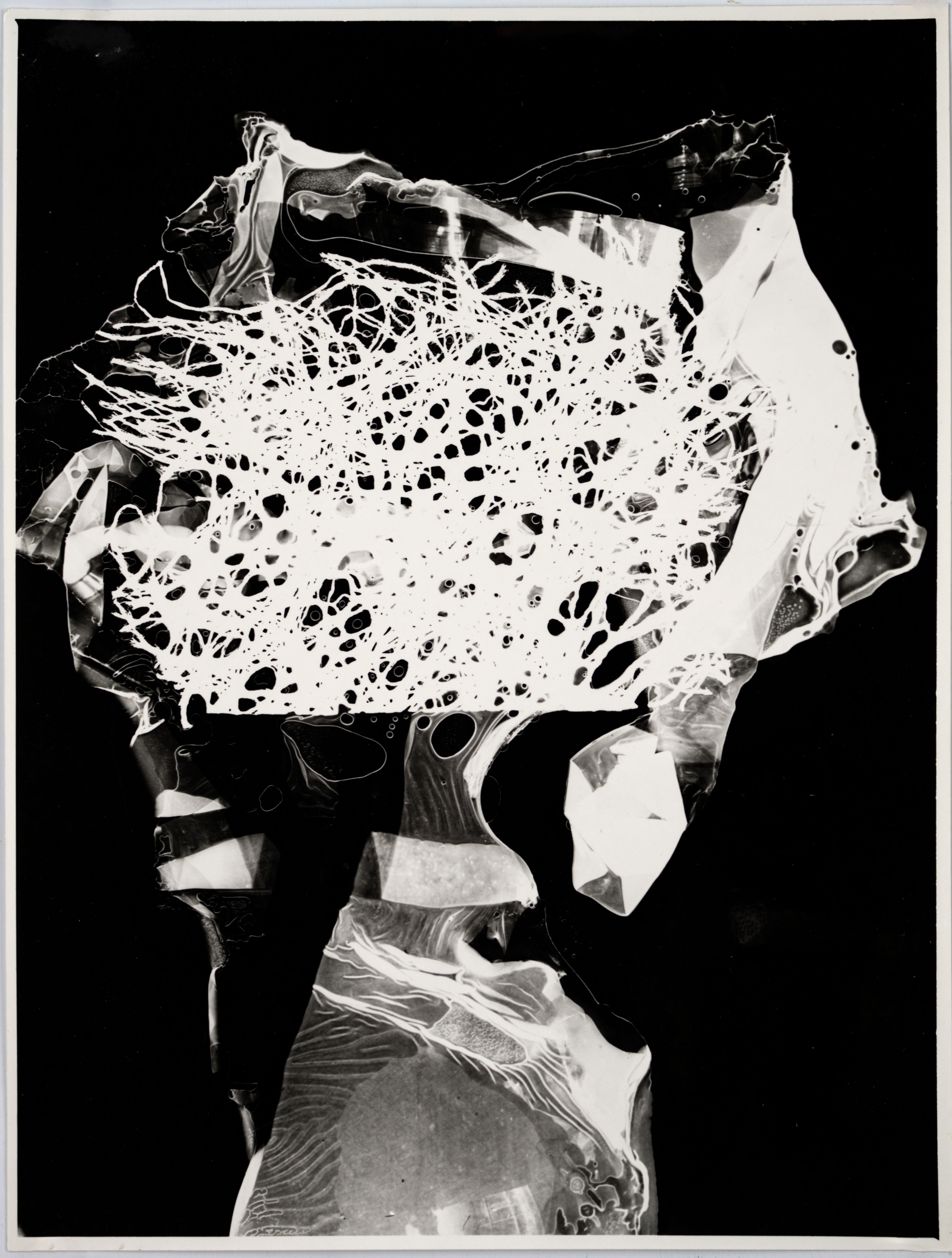 Artwork by Josef Istler, HEAD, Made of Gelatin silver print on glossy paper