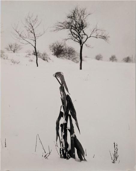 PILGRIM FROM THE SERIES OPUŠTĚNÁ by Vilém Reichmann, 1965