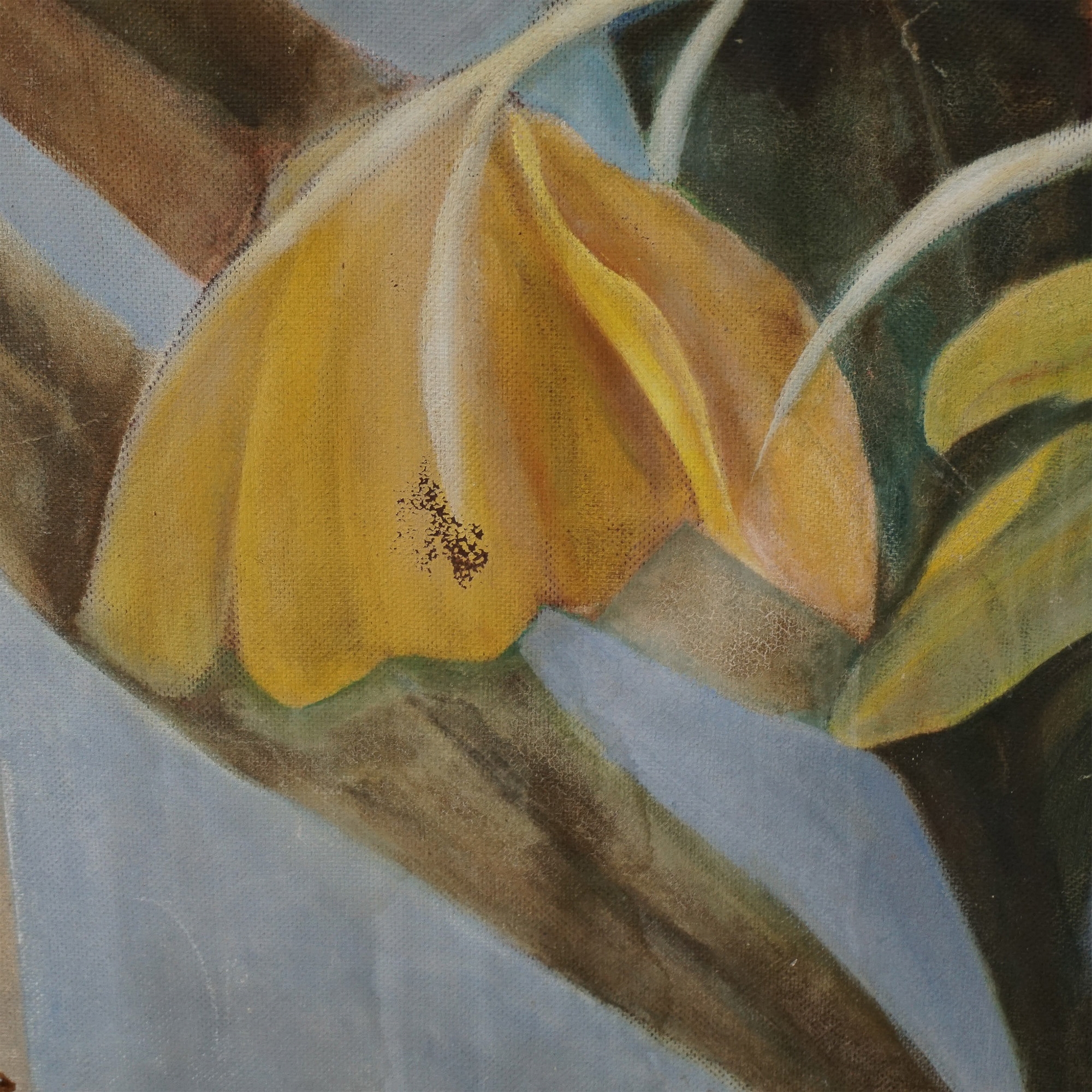 Annette Krauss Rose | A striking composition of vibrant yellow orchids ...