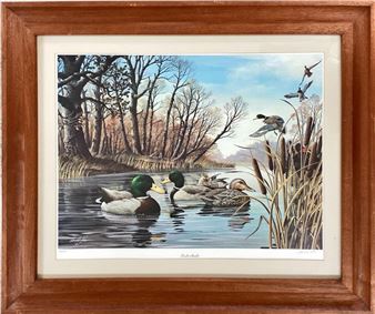 Interlude - Harold Roe