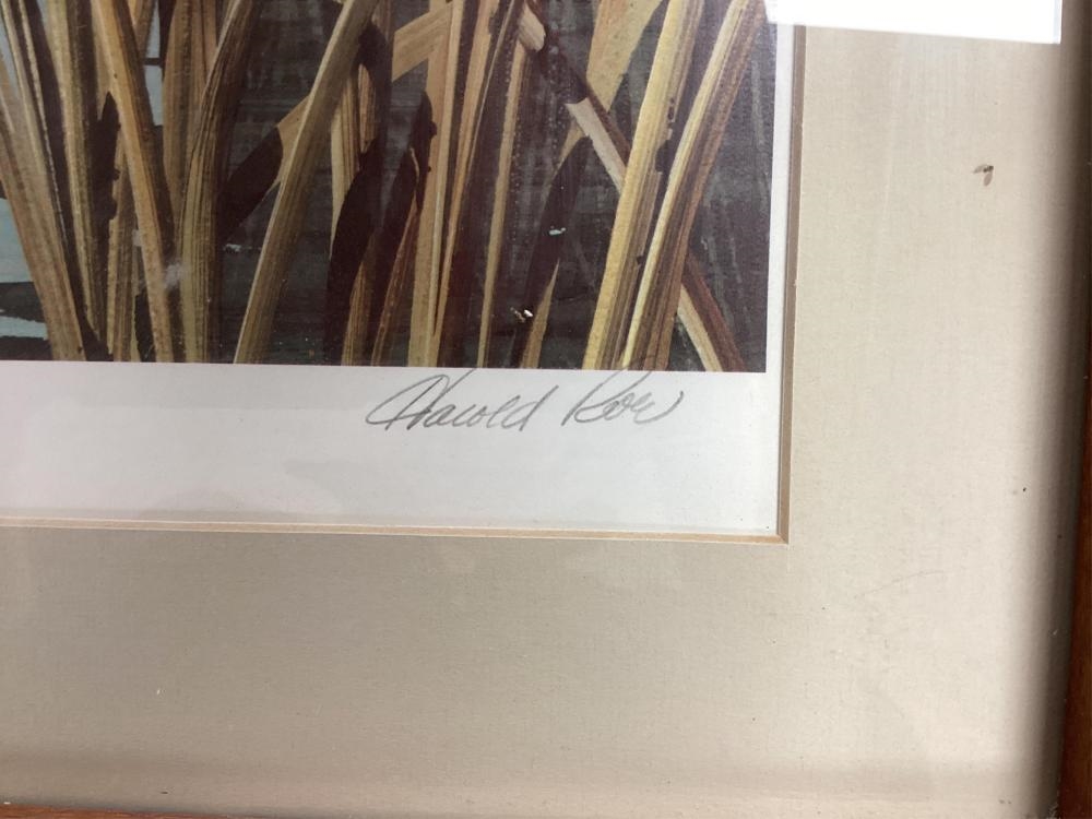 Harold Roe | Interlude | MutualArt