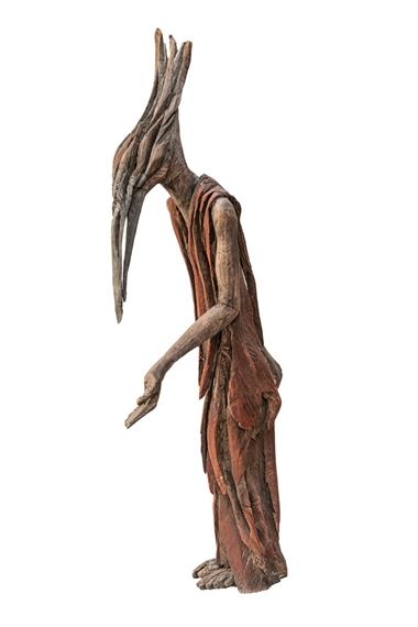 Forest flightless bird - Marcin Mysliwiec