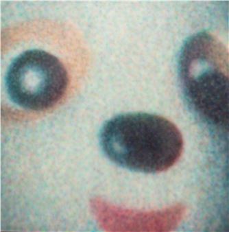 K9, 2024 - Jakub Kozlowski