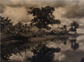 Large mango tree. Photograph - Gérard de Boe