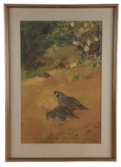 Covey of Quails - Robert Bruce Horsfall