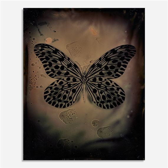 希少本　Tintypes  Jayne Hinds Bidaut 希少本 Tintypes Jayne Hinds Bidaut 希少本 Tintypes Jayne