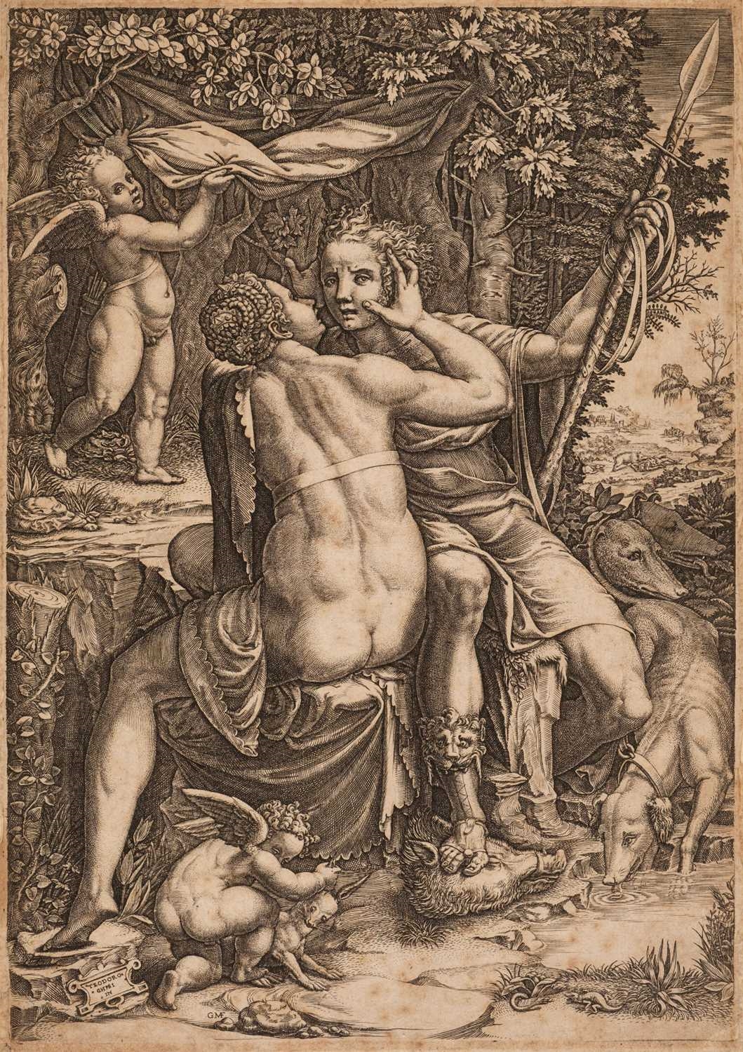 Giorgio Mantovano Ghisi | Venus and Adonis | MutualArt
