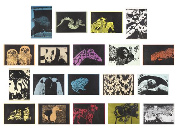 Spot Book - Eugene Feldman