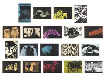 Spot Book - Eugene Feldman