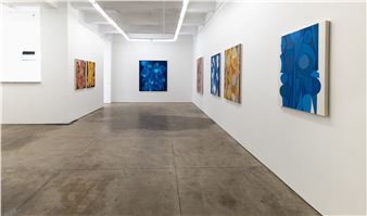 Raymond Saá: Pan Con Timba - Morgan Lehman Gallery