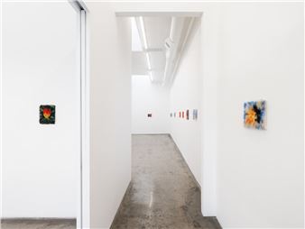 Maria Szakats: Hover - Megan Mulrooney