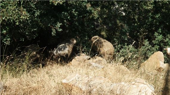 Marwa Arsanios: Who Is Afraid of Ideology? Part 5 DayDream - Fundació Joan Miró