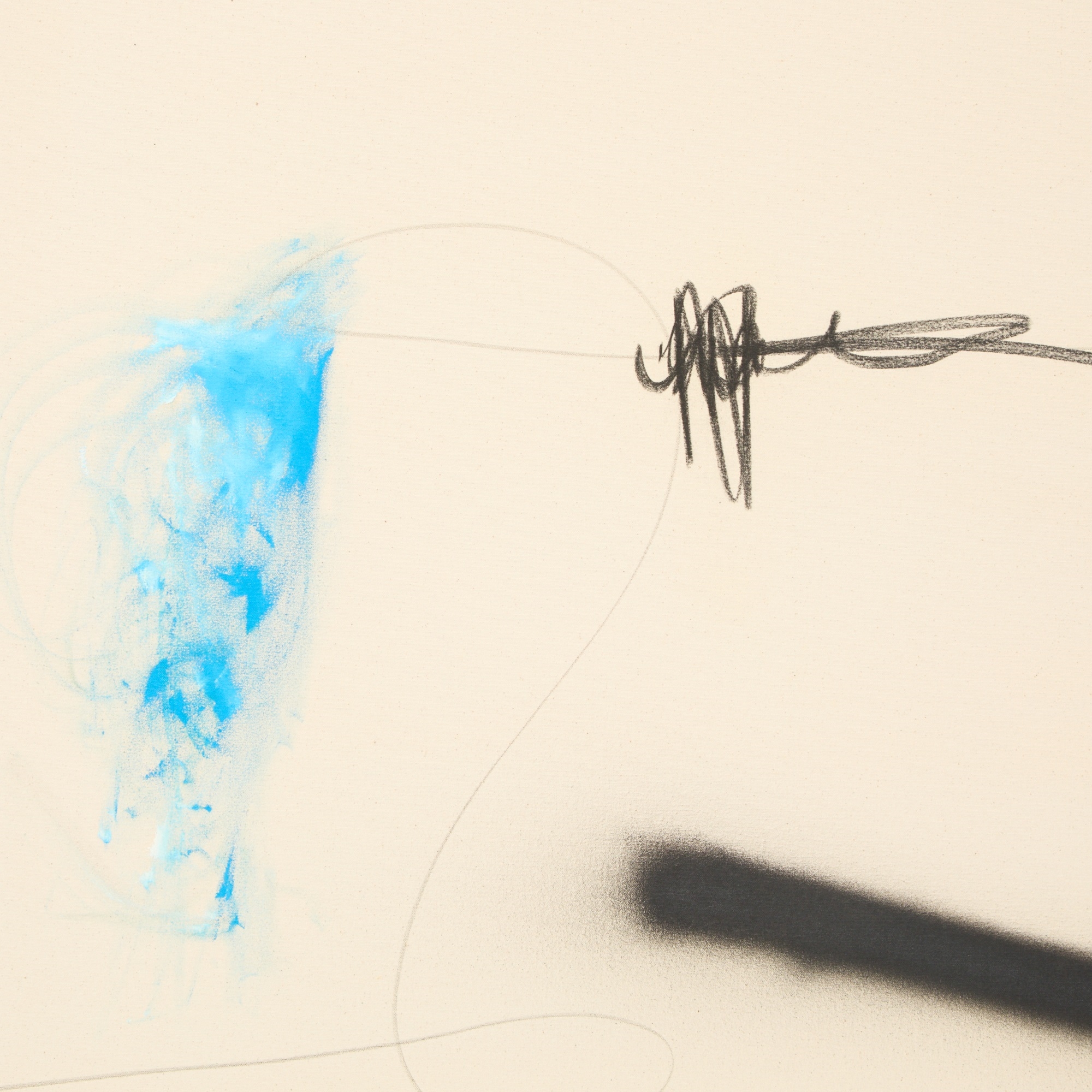 Christian Rosa | Exceptional but Professional (2014) | MutualArt