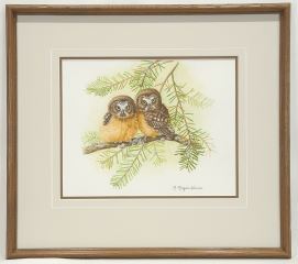 Woodland Waifs- Saw-Wet Owls - M. Morgan Warren