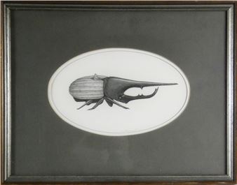 TIB BEAMENT - Tib Beament