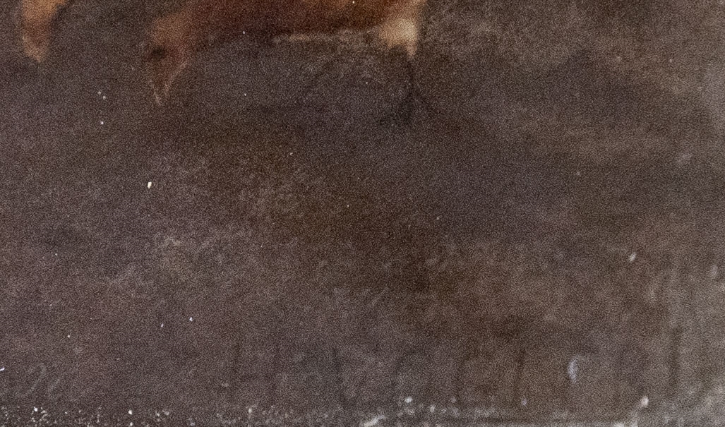 Artwork by Hermann Vogler, Feeding Doves