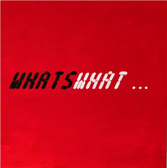 John Boone: Whatswhat - Lyman Allyn Art Museum