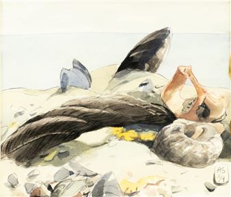 Shells - Anamaria Smigelschi