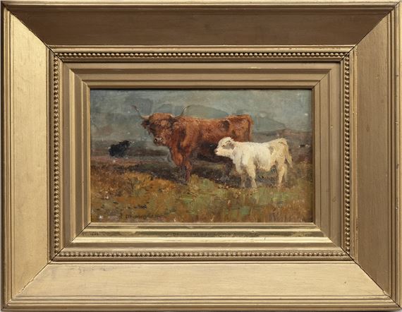 HIGHLAND CATTLE by Joseph Denovan Adam
