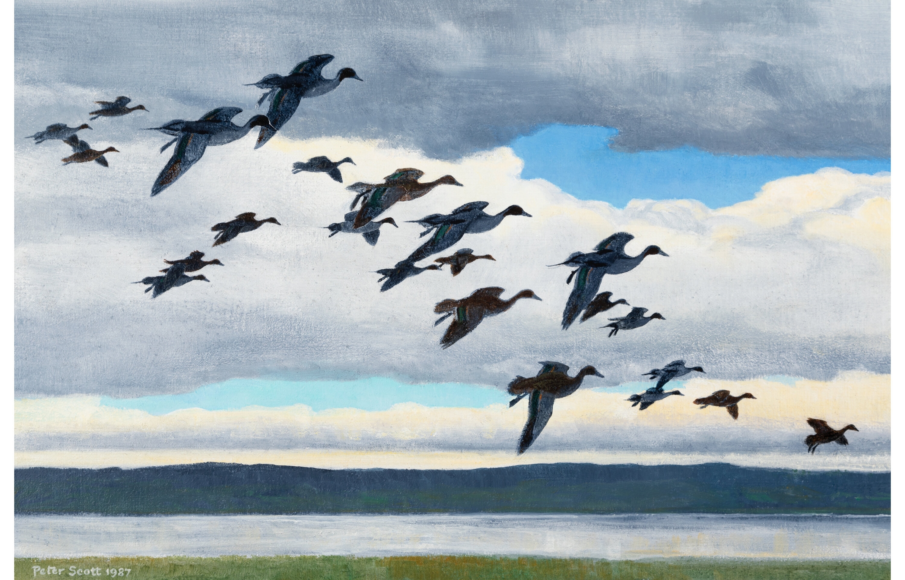 Peter Markham Scott | Pintails Arriving (1987) | MutualArt