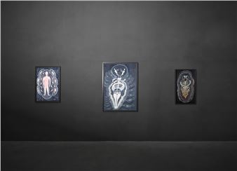 Ann Leda Shapiro: Interconnected Worlds - Axel Vervoordt Gallery, Wijnegem