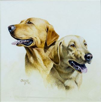 Labrador Dogs - Roger Cruwys