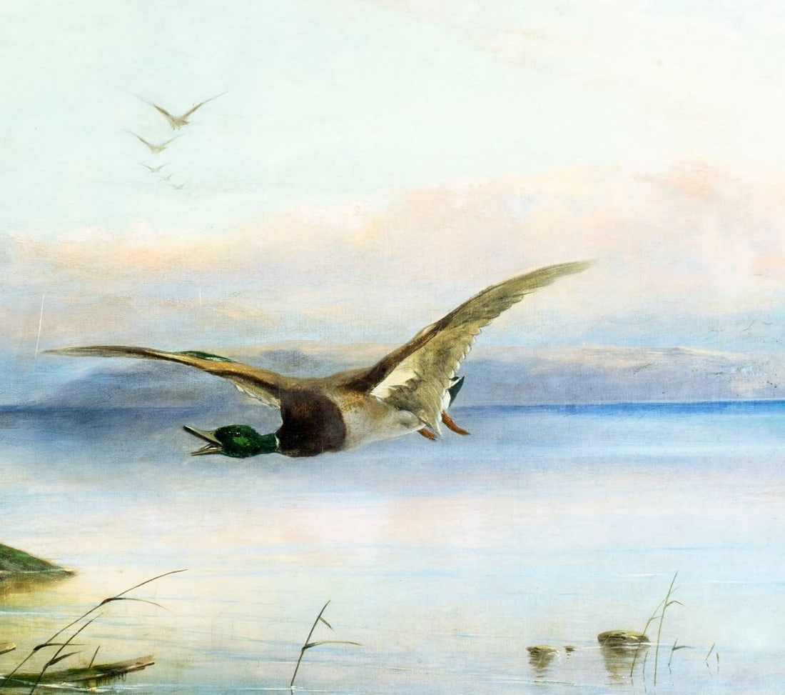 Robert Henry Roe | Ducks - Wild Birds in Flight (1855) | MutualArt