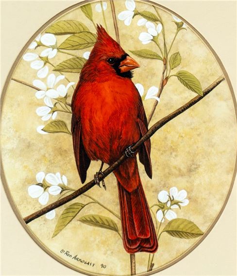 Rod Arbogast | Cardinal Bird (1990) | MutualArt
