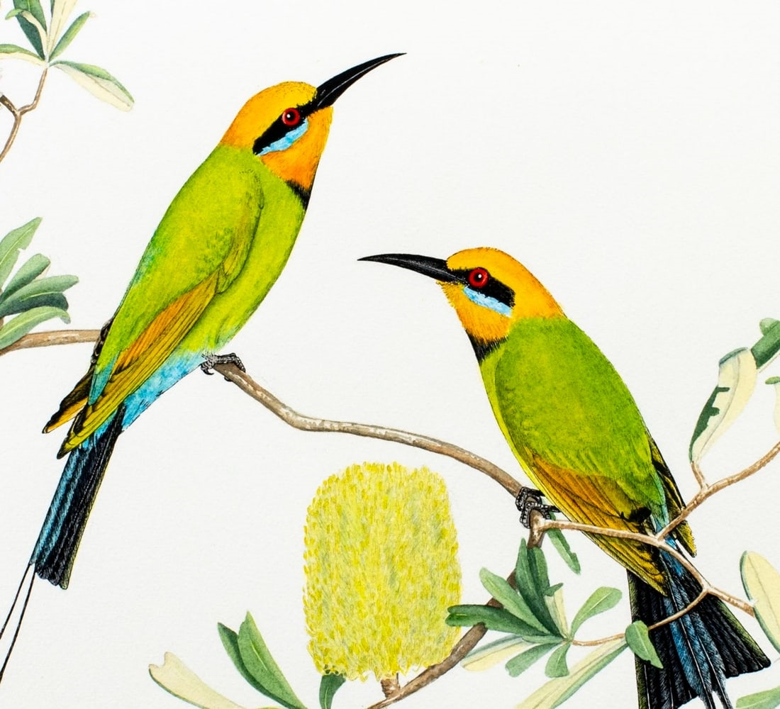 Kay Breeden Williams | Green Bee Eater Birds | MutualArt